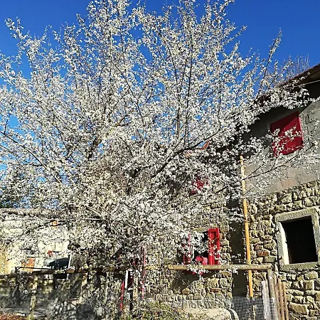 住宿加早餐酒店 L'ospitale Di San Jacopo